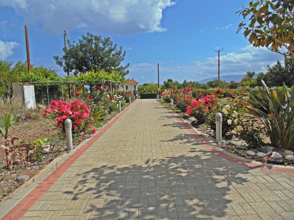 Eliofos Luxury Villa Polis Exterior photo
