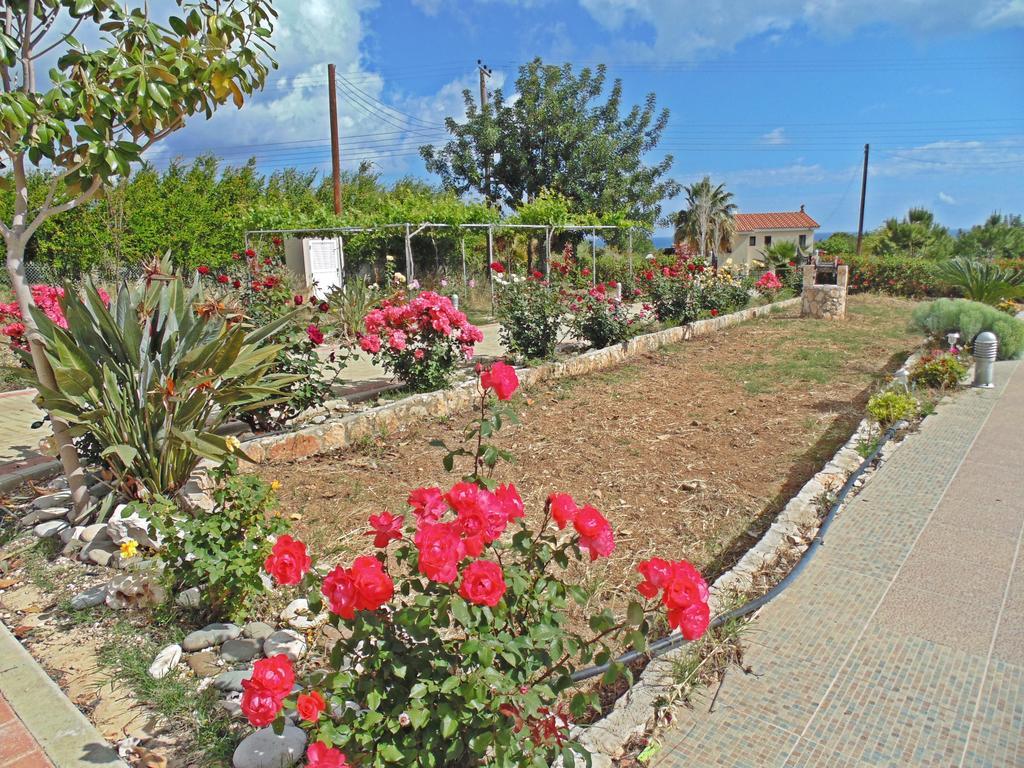 Eliofos Luxury Villa Polis Exterior photo