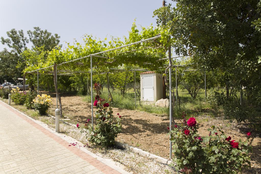 Eliofos Luxury Villa Polis Exterior photo